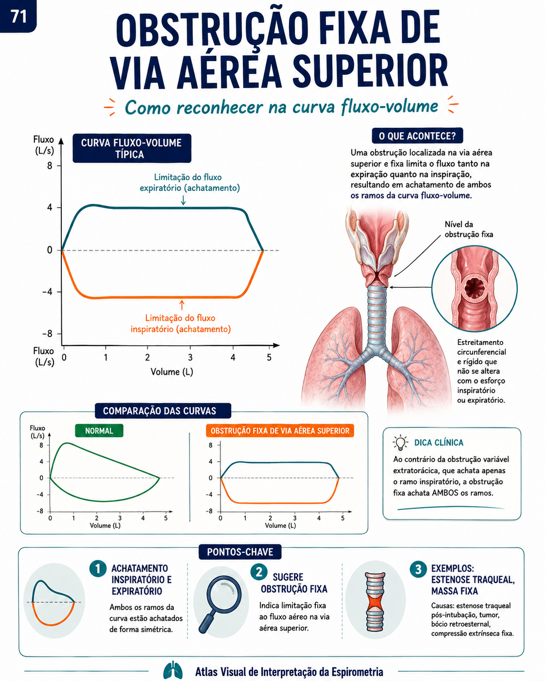 Amostra real do Atlas Visual de Interpretação da Espirometria